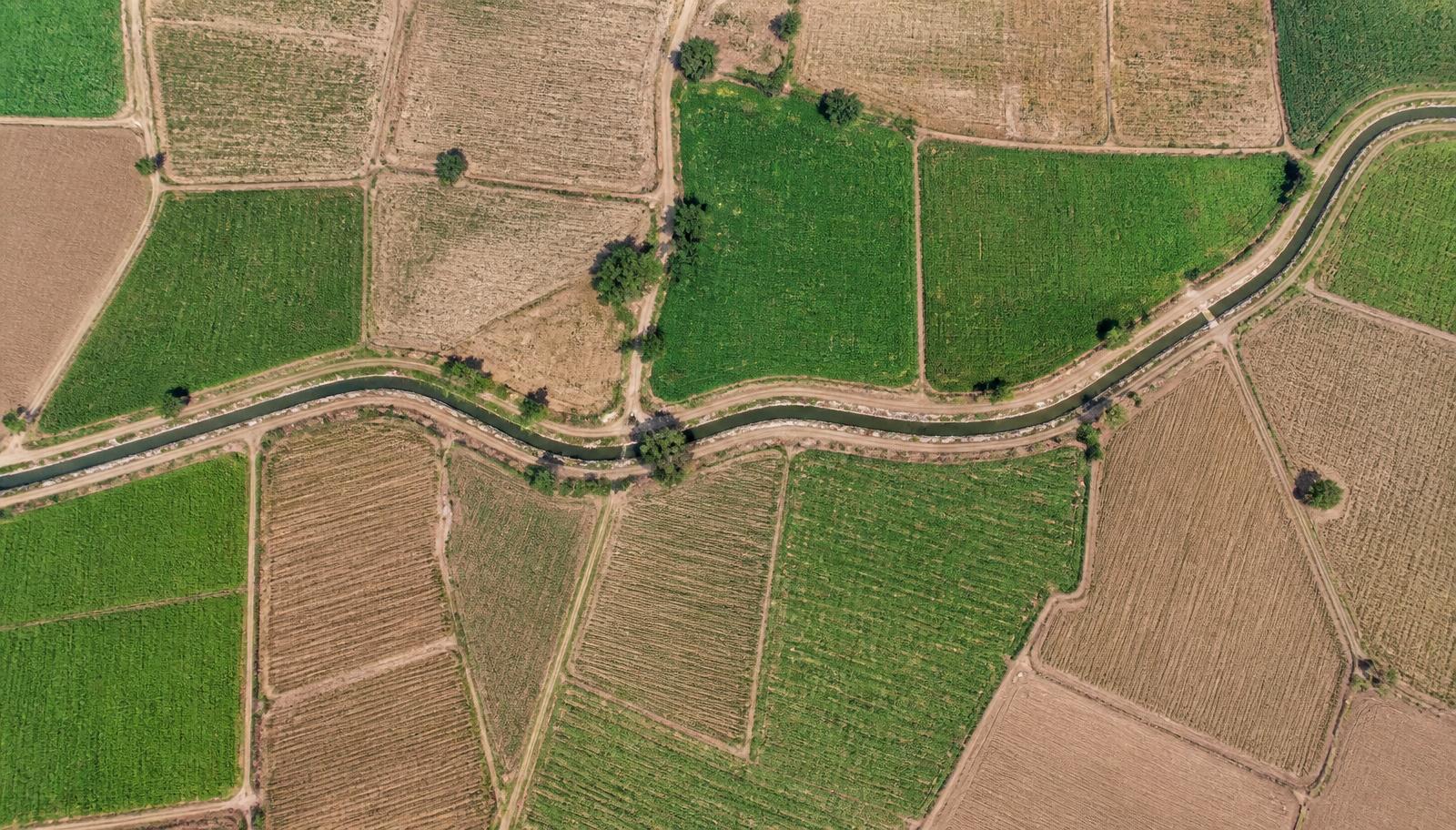 Vista aérea de parcelas agrícolas junto a un canal de riego